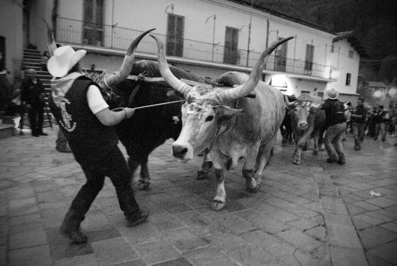 Tana Libera Tutti 2 Nature, Yourself, Love Viggianello Eksteriør billede